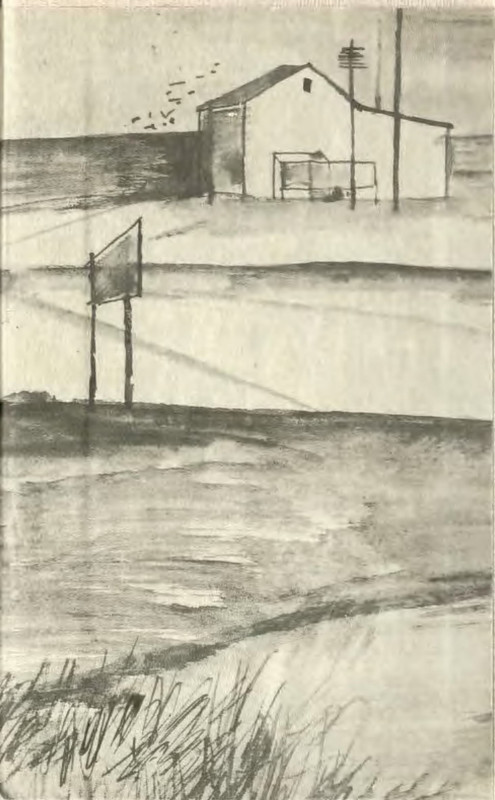 p0039