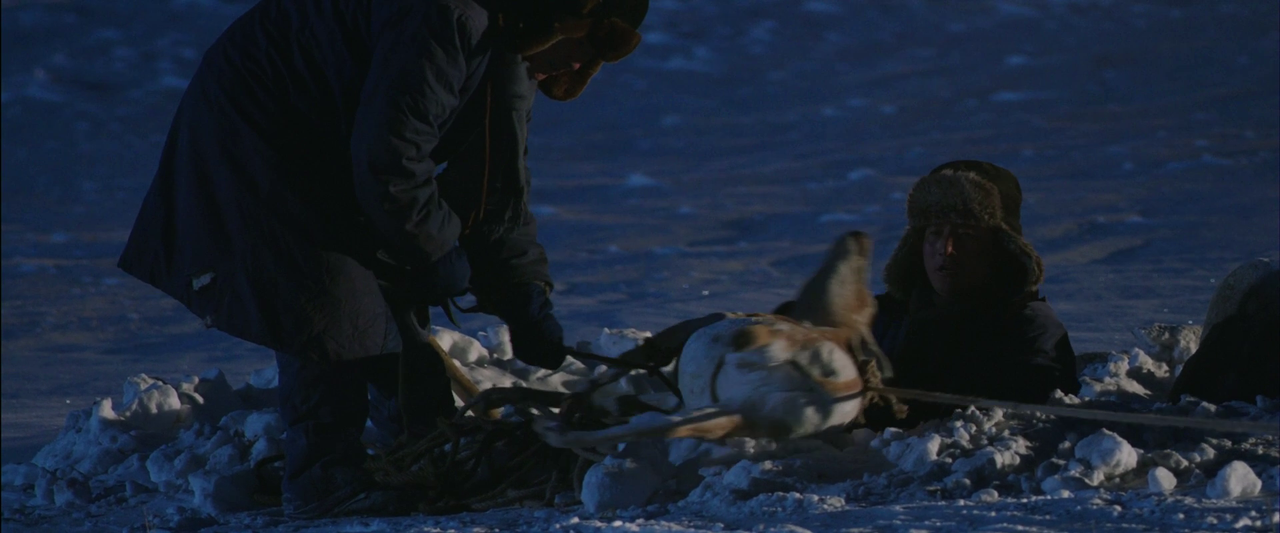 vlcsnap-2024-09-20-15h49m33s436