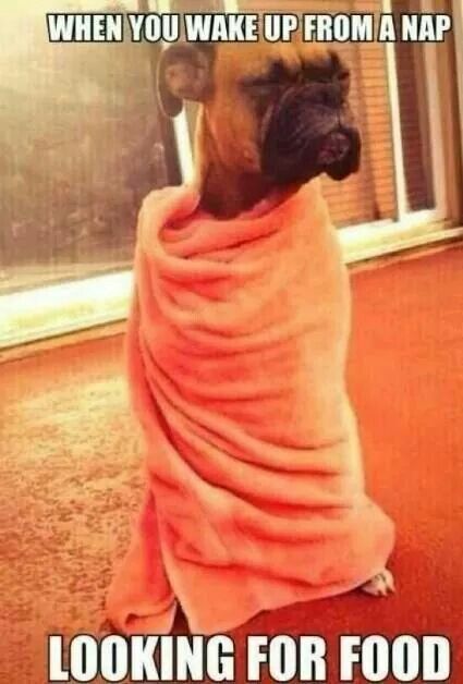 53b115f7bd2863e533b109a121b99367