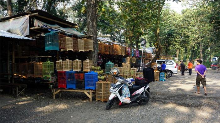 suasana pasa burung di Monumen Suryo 