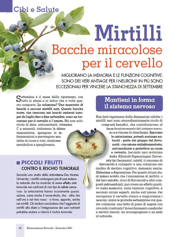 Alim Nat Set 2021 (3)