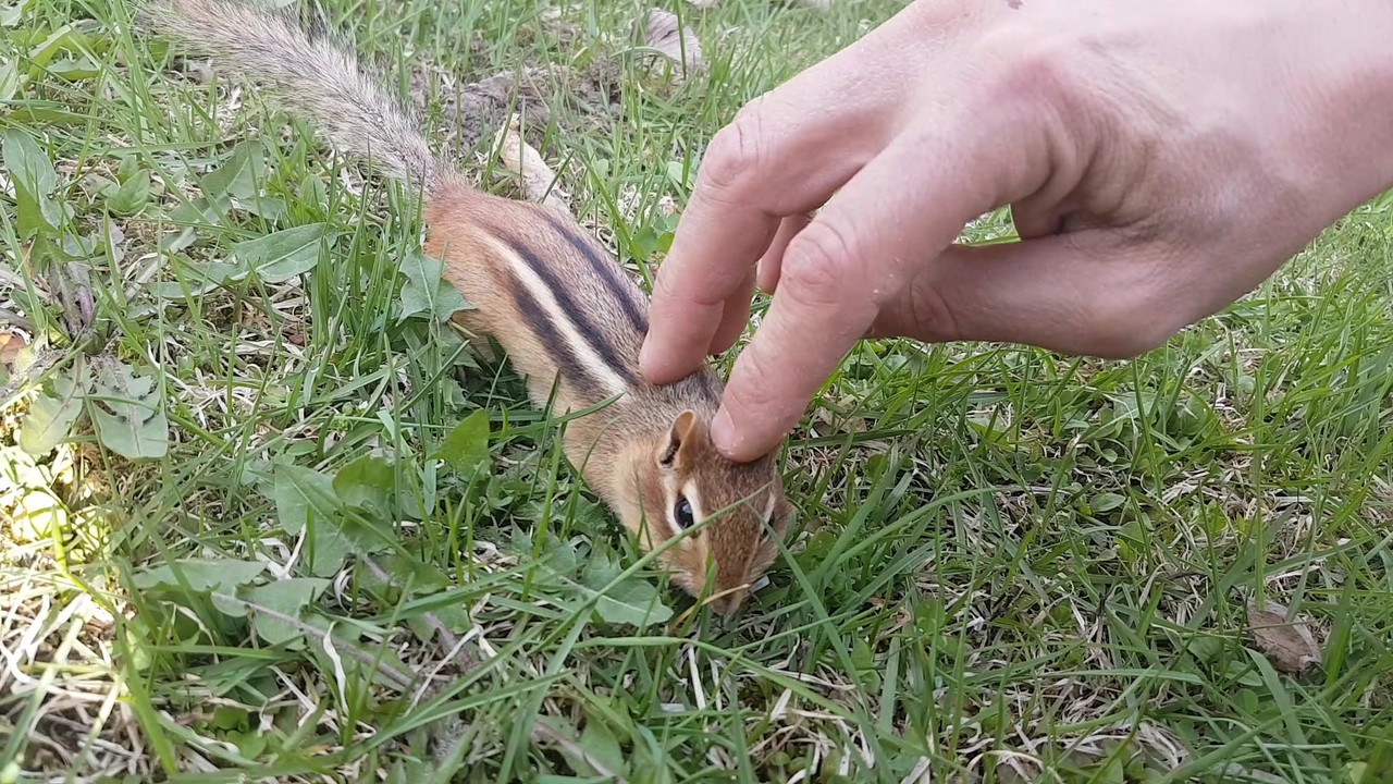 Screenshot-20200529-224548-Video-Player.