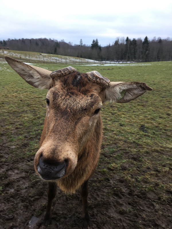 64EDED1A-1267-4A89-B6F9-391BDE123EE8