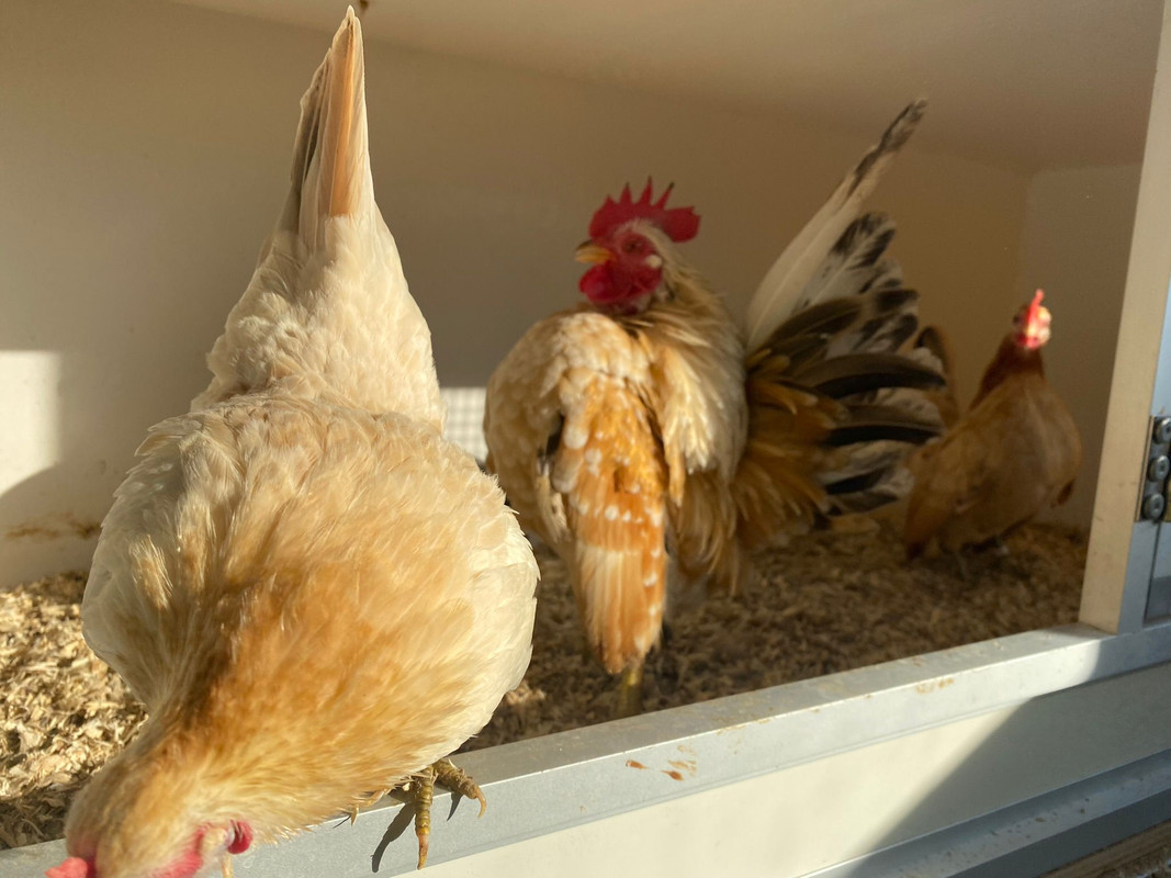 IMG-20220521-WA0013