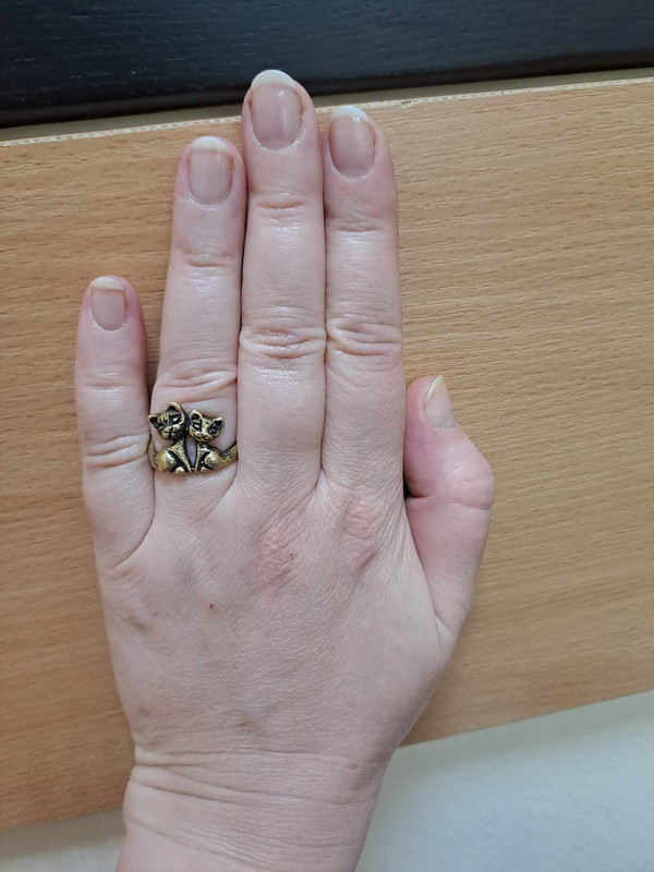 442650280_414271961444842_3459084437189818130_n