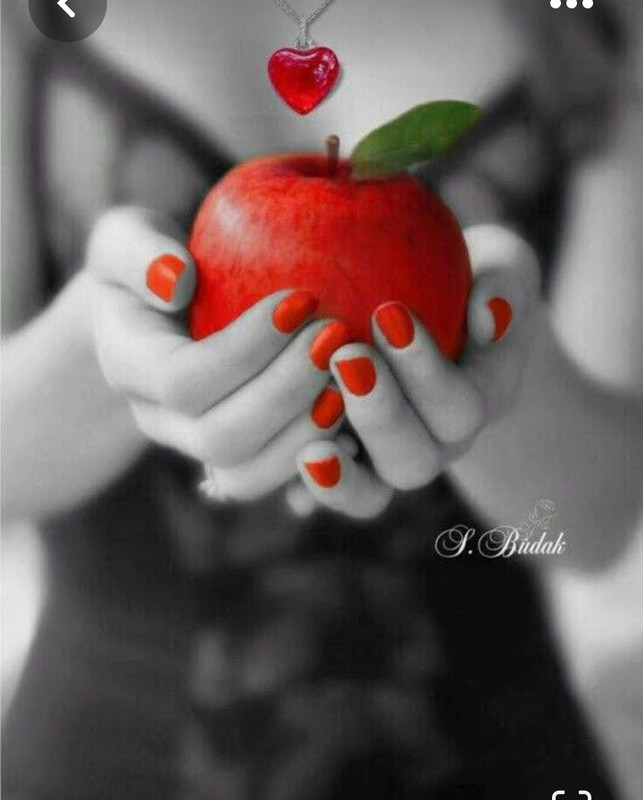 Screenshot_20230702_182429_Pinterest