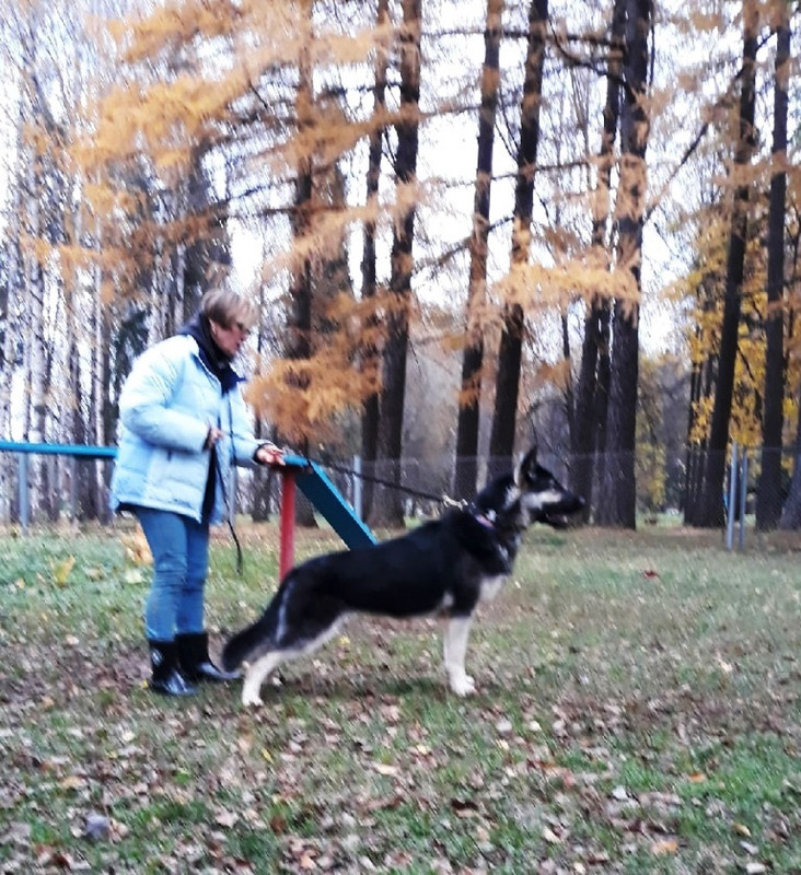 FQa3ZsC2t89gAwbFeKYMpS2Qxmrc2h_H5bZy_ztTE16L_uhyPSwEPMucy-JBQXulqZi2eo6trnOnSZYfN1b4Cj6E