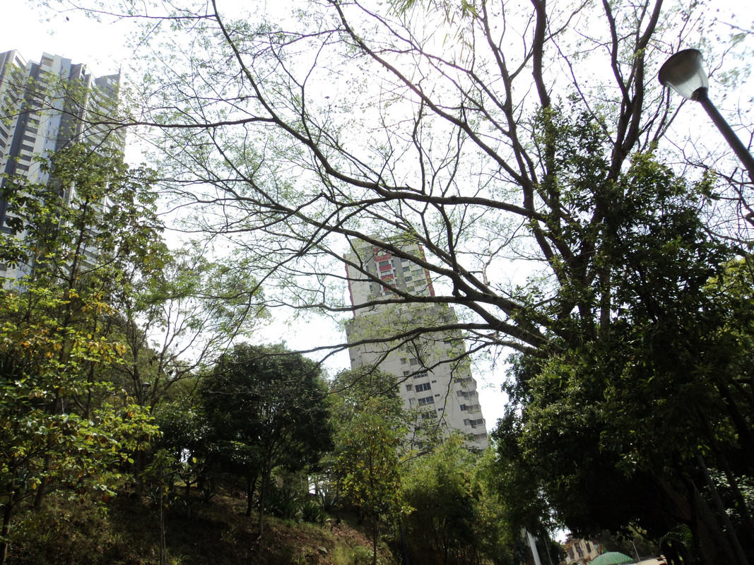 Henry-Ortiz-Utima-edificios-Bucaramanga-5
