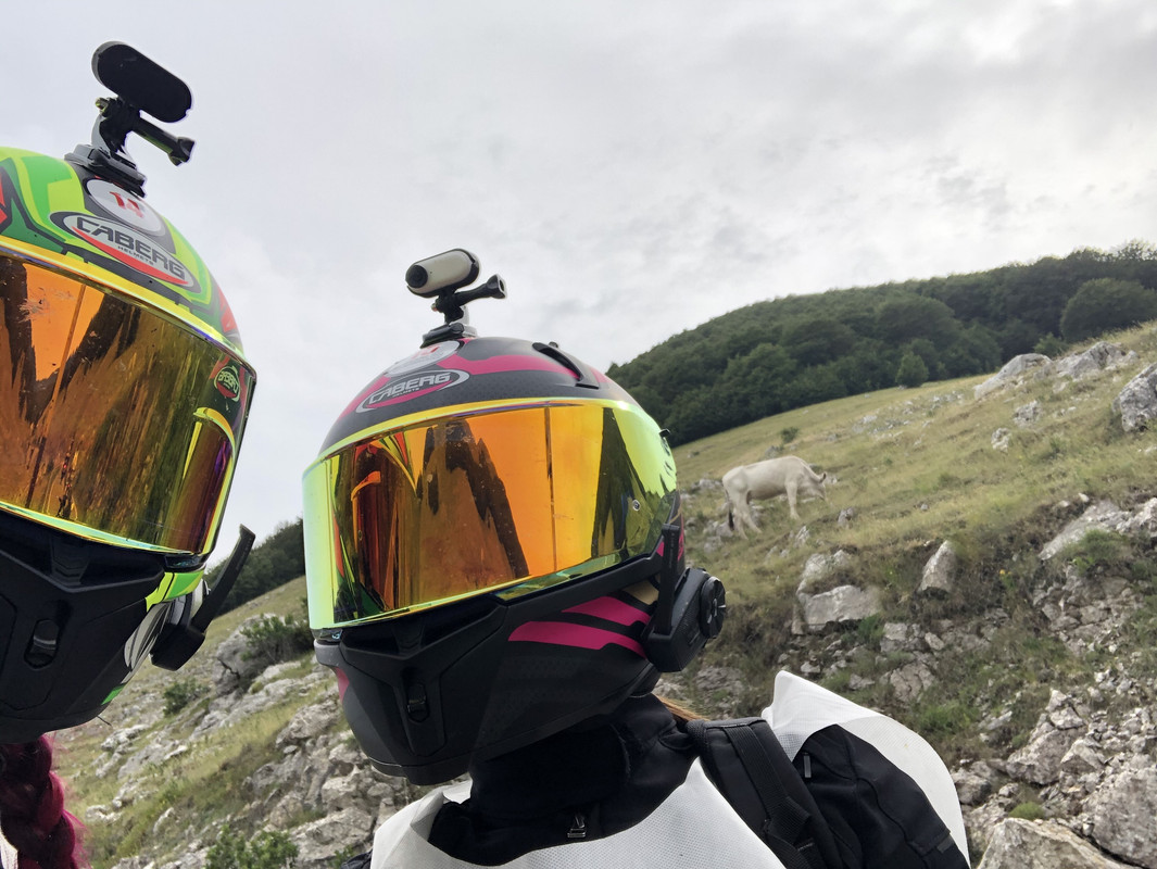 8DF8E759-D555-4020-A94A-0C239EE5085F