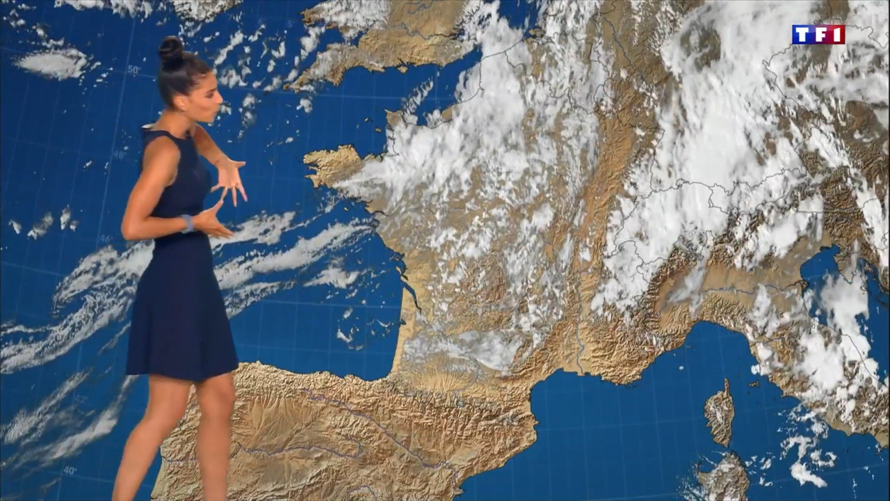 2022-08-19_20_00_TF1_Le-20h.mp4_snapshot_00.09.181