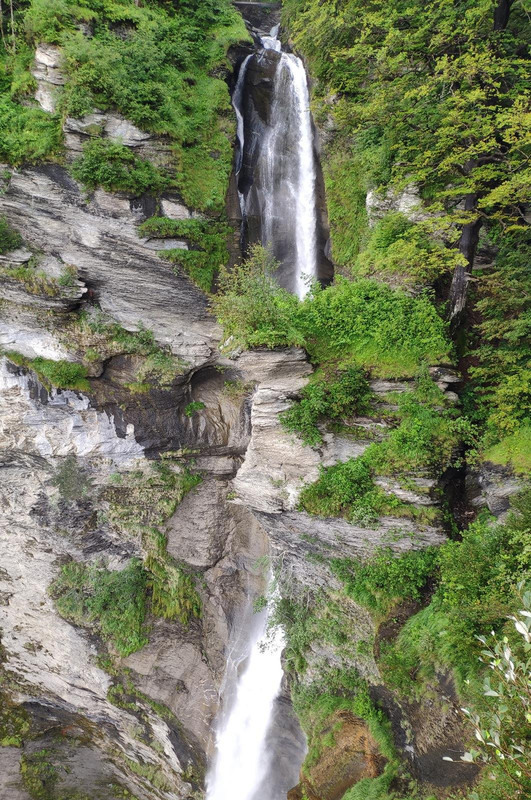 De casa a Grindelwald (Zona de Interlaken) - Huyendo del COVID a los Alpes (2020) (59)