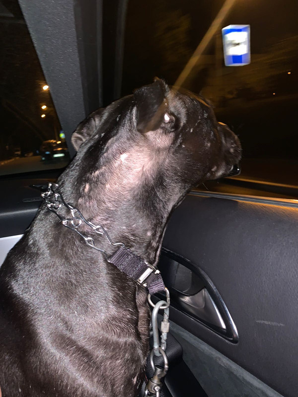 EB97257A-AE6A-48F2-AE8B-0E25CFCBF744