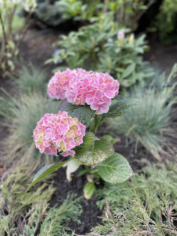 E8217BAD-DE7A-4421-A80B-D33AFBAB9472