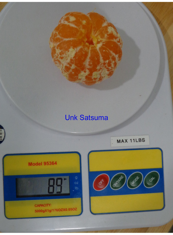 Xie_Shan-P4(9-23-21)