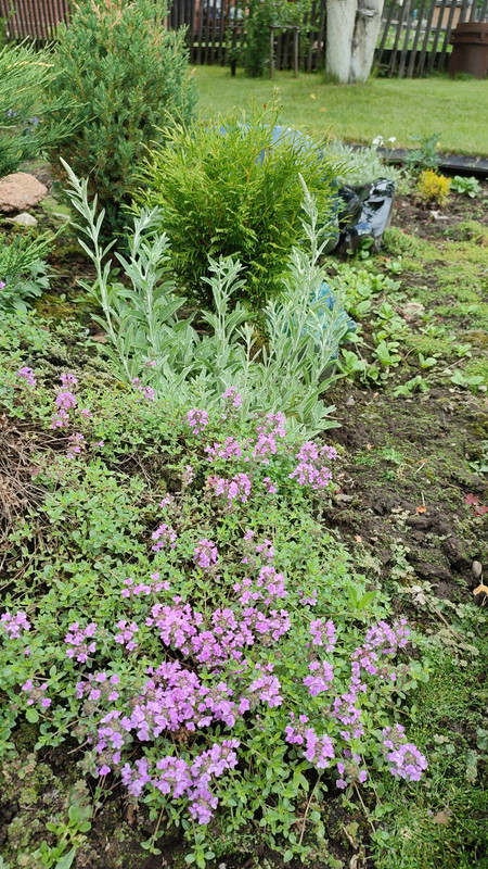 IMG-826bfb6a6342010e044616ba12649279-V