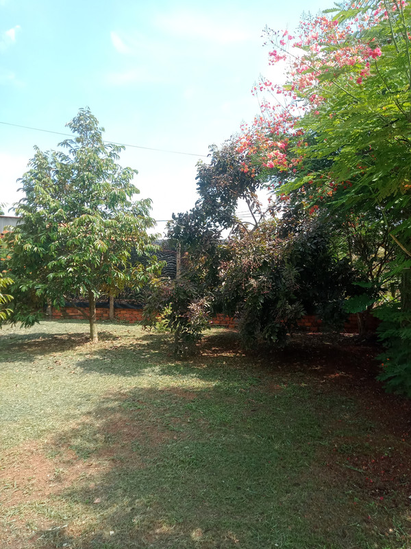 IMG20260612140151