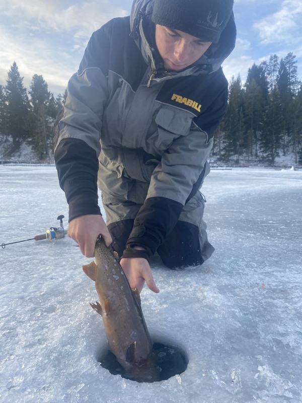 1DE47DB1-228B-4CF8-9443-AC8217328FDE