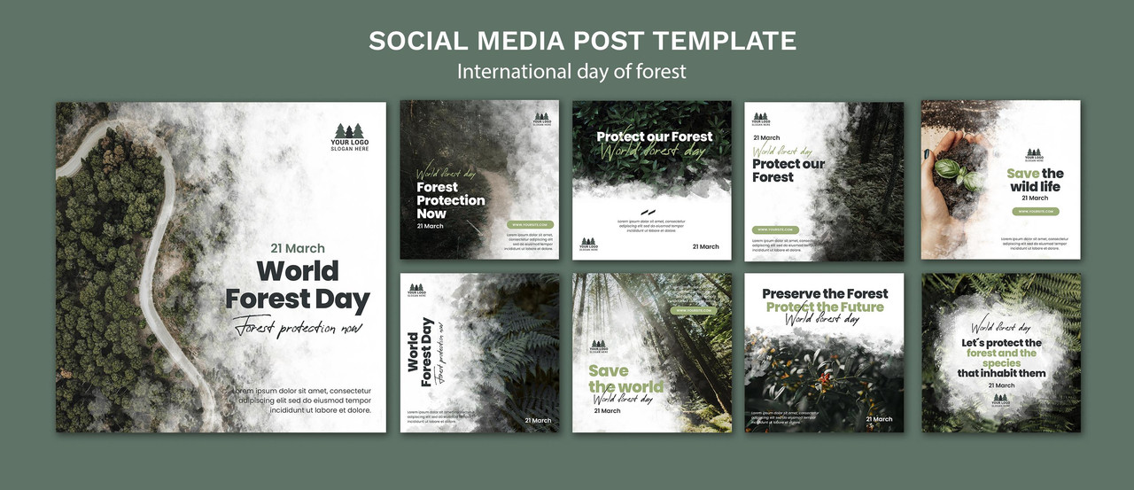 World forest day instagram posts template