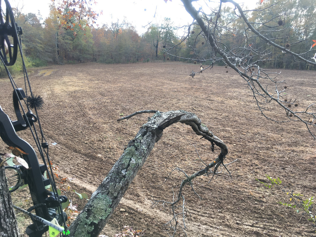 61284CA8-74B8-45BD-AF69-E16AC2639542