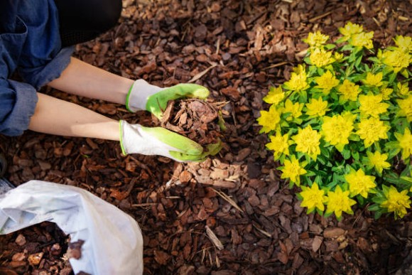 Gardening-2.jpg