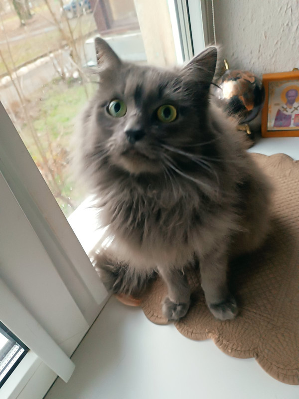 IMG-fa904450a4586bda69a0fbfd36f3f12e-V