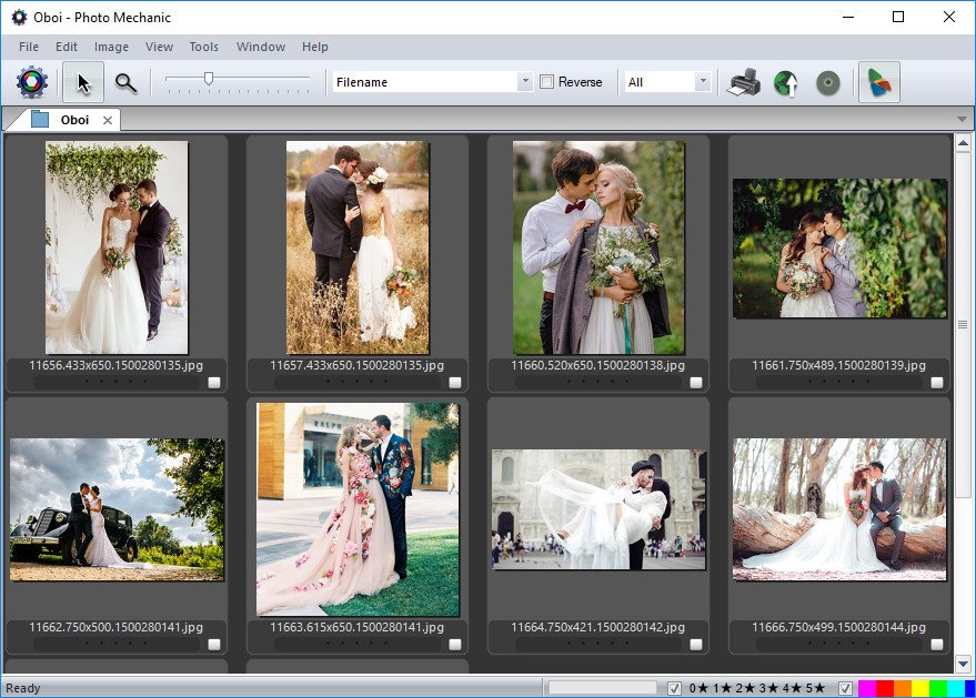 Photo Mechanic 6.0 Build 6496 (x64)