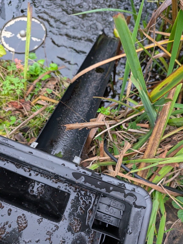 PXL_20251018_161821326