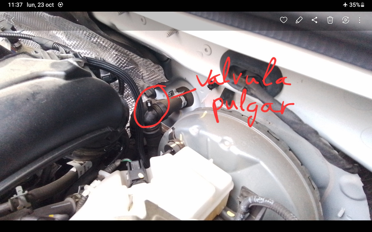 Screenshot_20231023_113736_Gallery