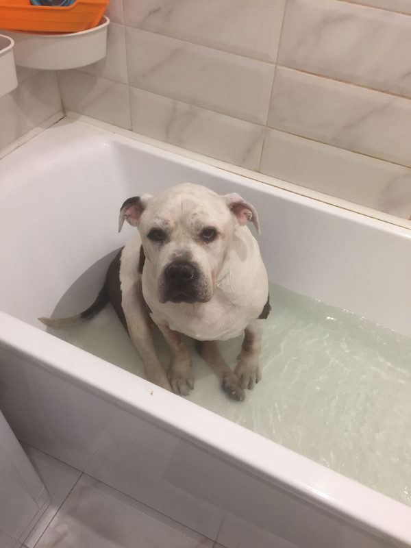 1D4A9C7E-7213-4FBD-80C5-694C49E886A0