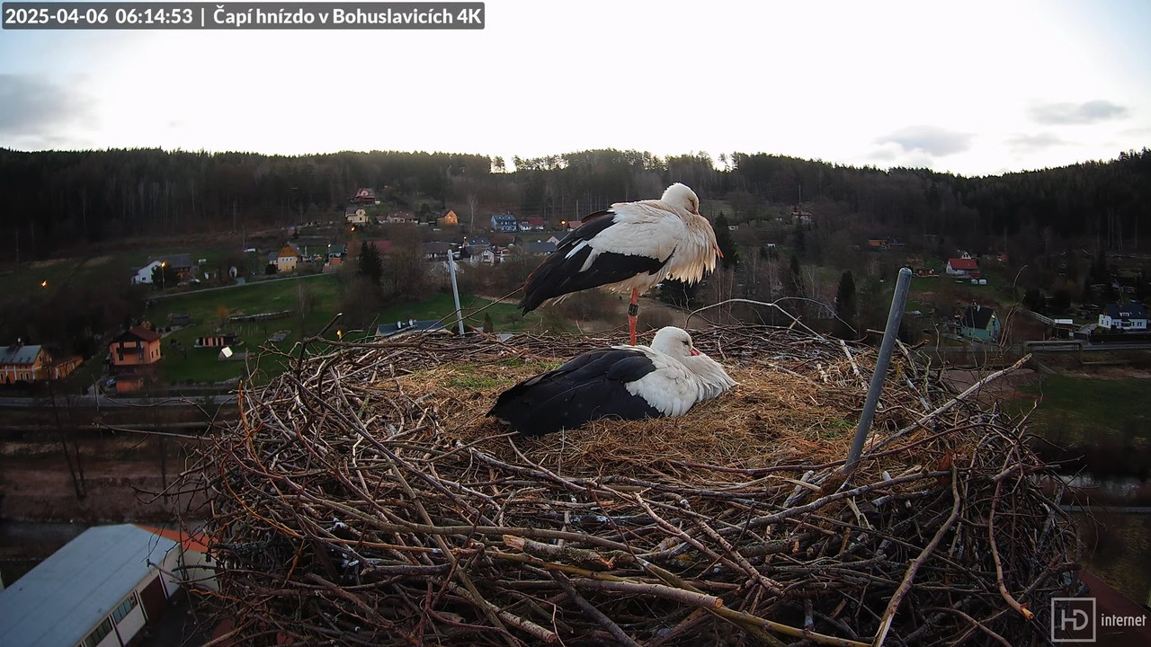 Živě z čapího komína firmy KARA v Bohuslavicích u Trutnova 8-52-17 screenshot (1)