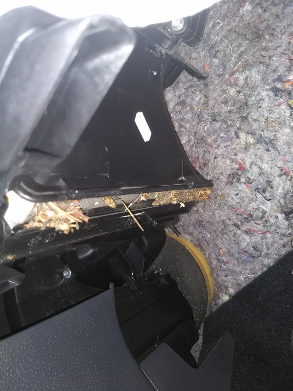 IMG_20180521_091715920