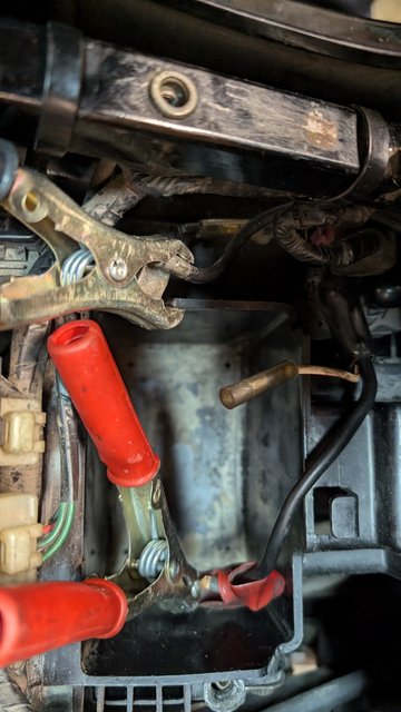 PXL_20241106_182241335