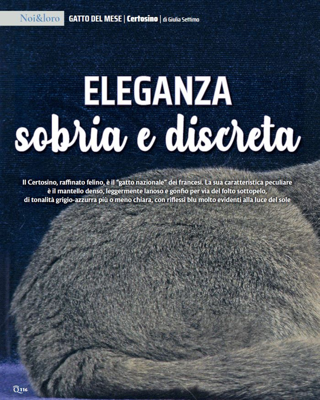 QuattroZampe Ott 2023 (9)