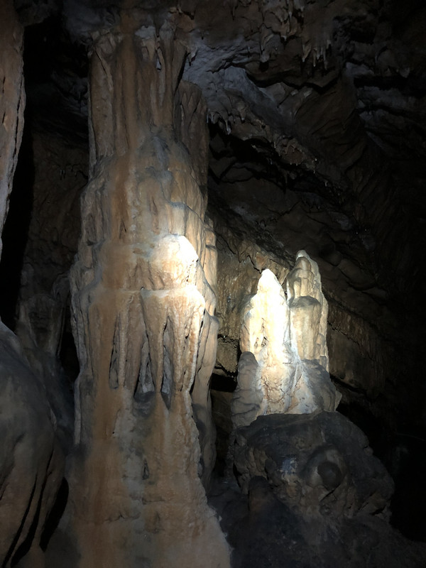 9DC9A374-1580-45A0-8A48-2A11146C6926