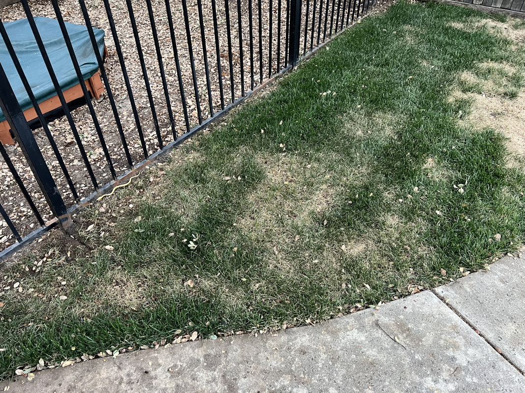 F0F86EAC-6965-46D5-8446-9BBE34A15439