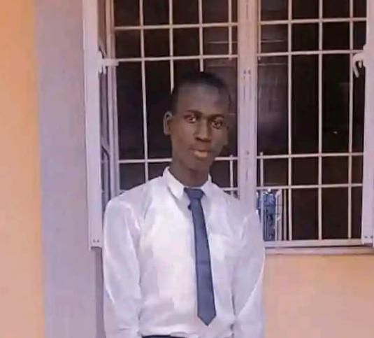 Hamza Sulaiman Lawal - Professional