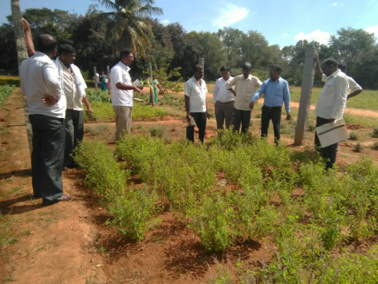 Crop Test Bed