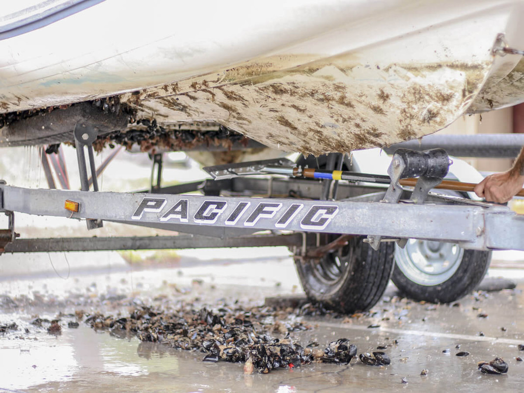 Boat Scrub & Wash Down Boat Scrub & Wash Down