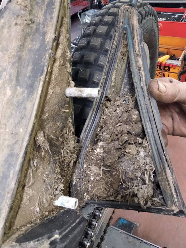 52580048_1954051574902659_2987754021906808832_n