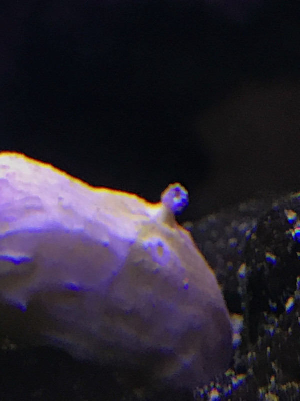 5B5A3DF3-1D5A-4068-AE6D-321DF5D2389C