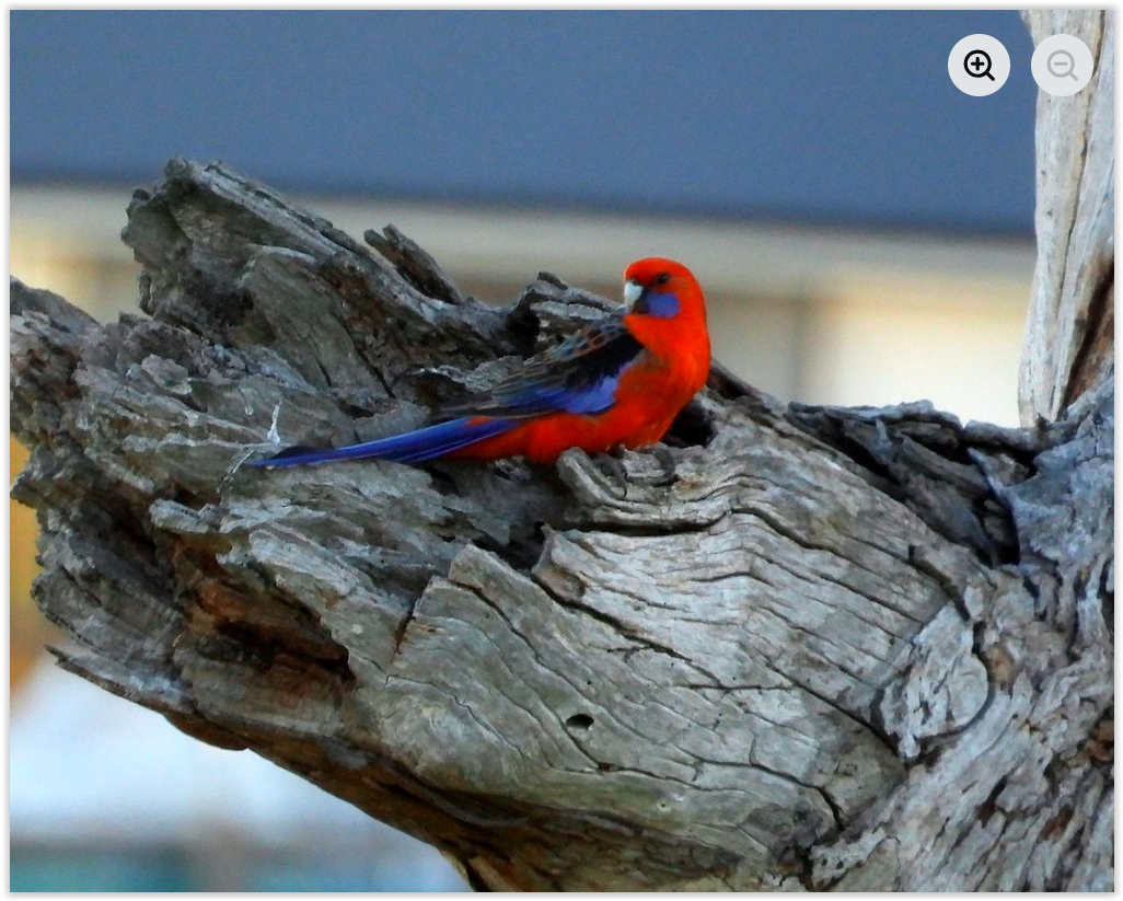 Screen Shot 12 24 25 at 03 07 PM