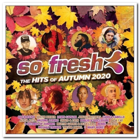 Various Artists - So Fresh: The Hits Of Autumn (2020) FLAC