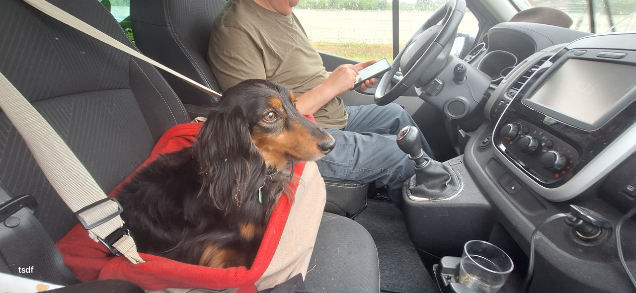 [Image: 20250511-152530.jpg]