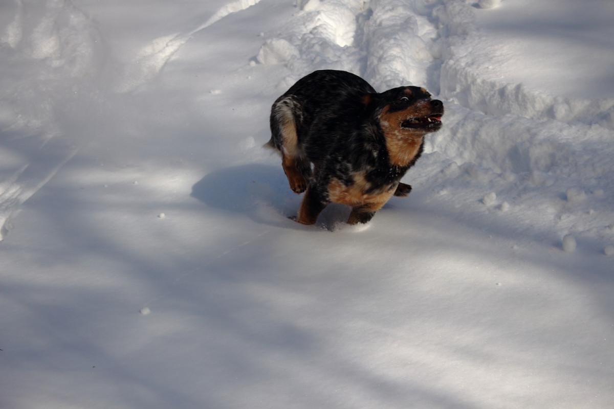 433BC0BD-1B4B-465E-82B3-5EEF31A2B453