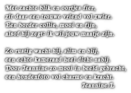 cooltext505243966531288