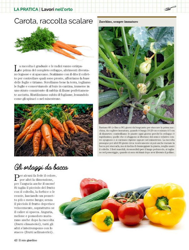 Il Mio Giar Ago-Set 2023 (6)