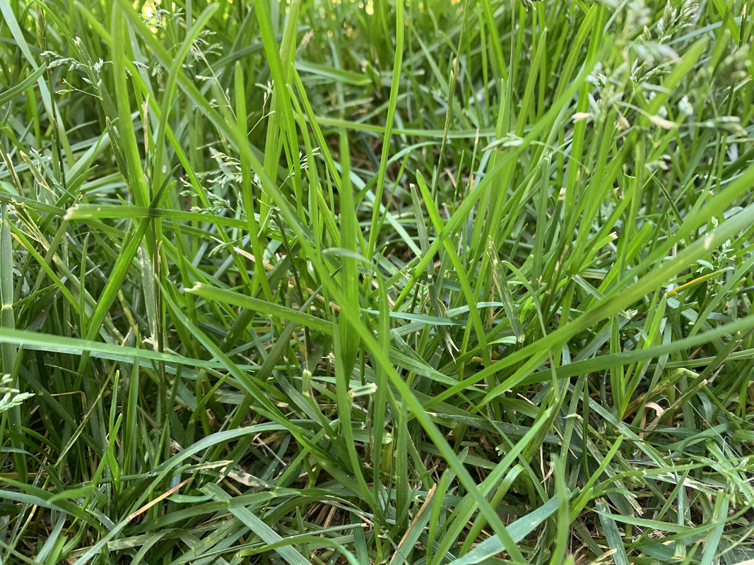 8-B71-AB86-016-A-4-D73-9-F34-FDCF6-AF9-B946