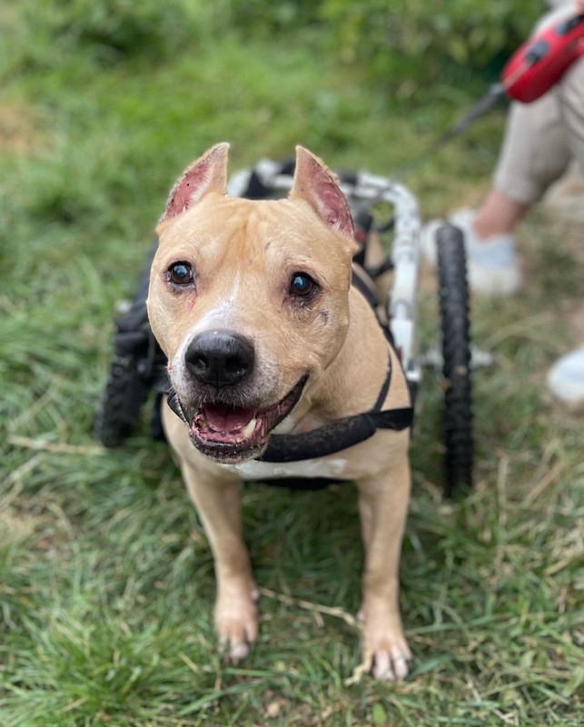 5B65A715-1579-4514-9768-B1E81FBBE45C