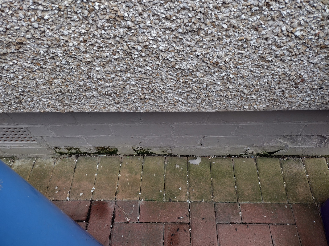 IMG_20220912_180050347_HDR