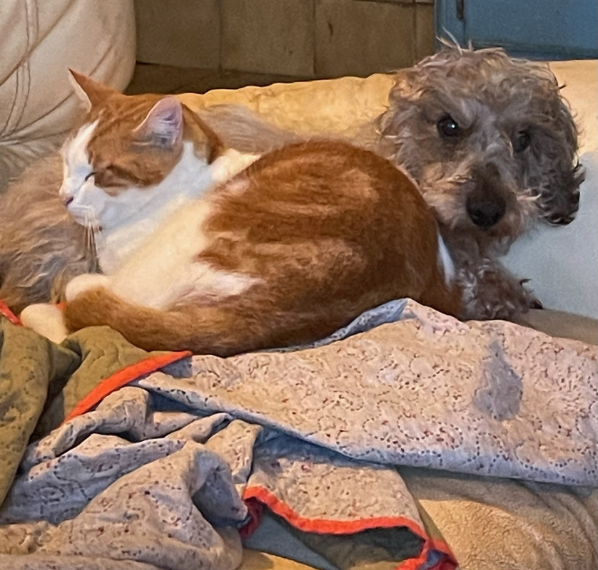 [Image: IMG-20241023-133948.jpg]